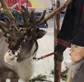 Шале Levinlento Леви Дом с 1 спальней-118