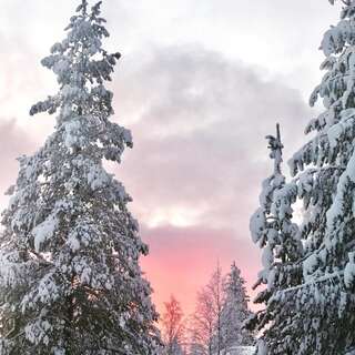 Шале Levinlento Леви Дом с 1 спальней-19