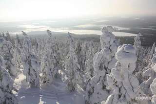 Шале Levinlento Леви Дом с 1 спальней-72