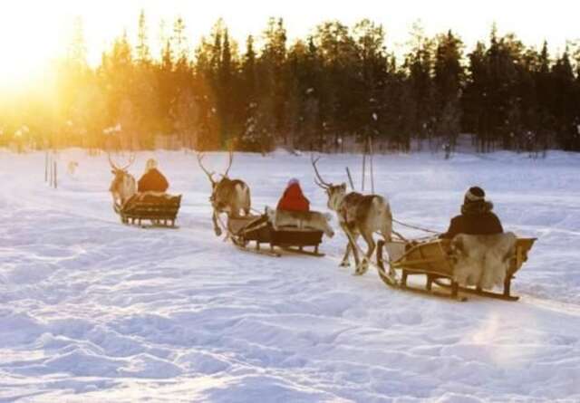 Шале Levinlento Леви-72
