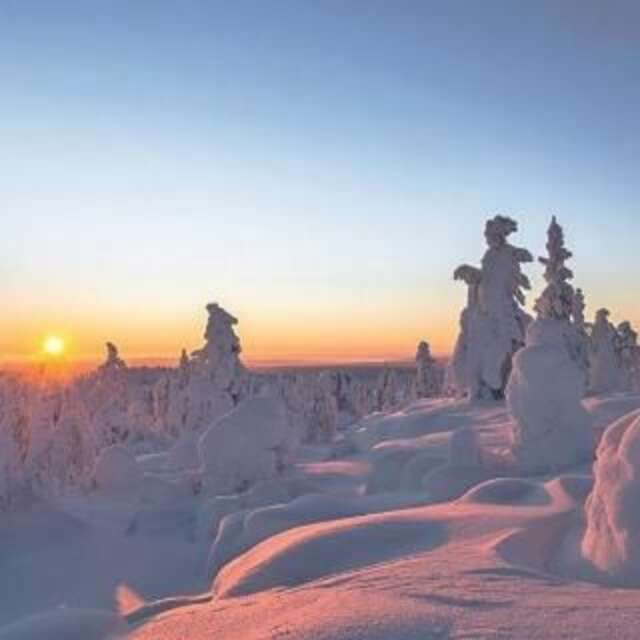 Шале Levinlento Леви-75